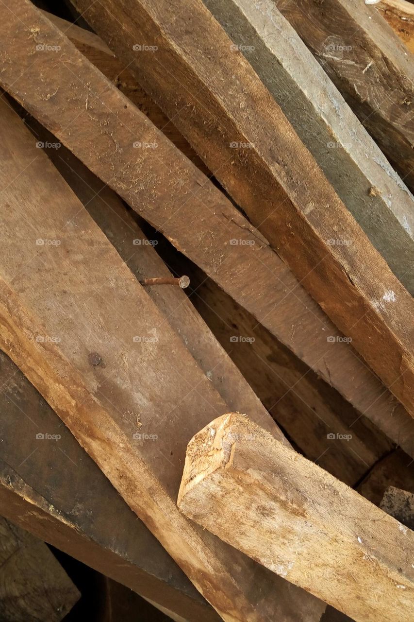 Wood in a place.
March 05, 2023
07:52am