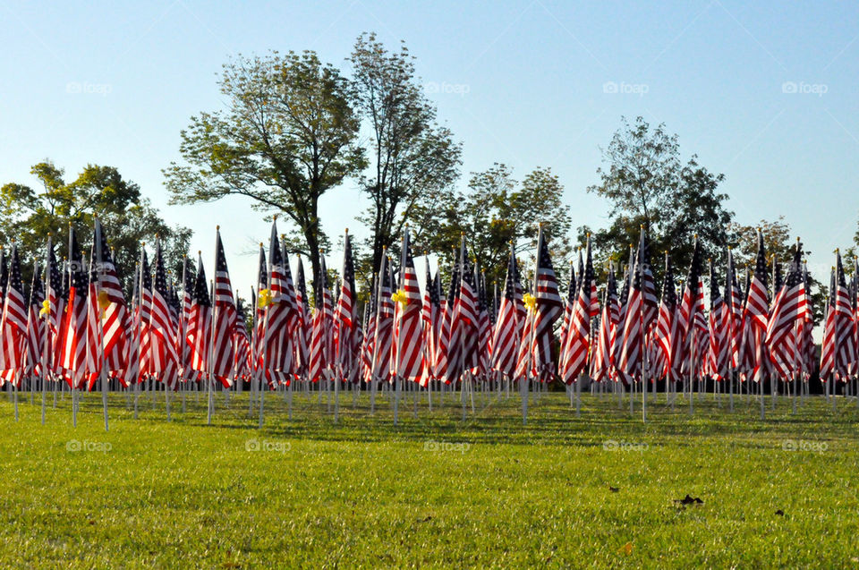 Flags