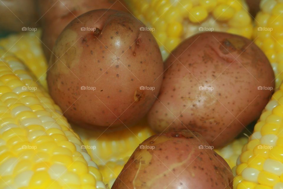 Corn and Potatoes 