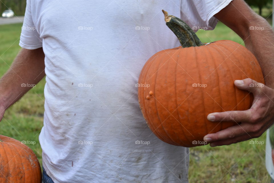 Holding pumpkins