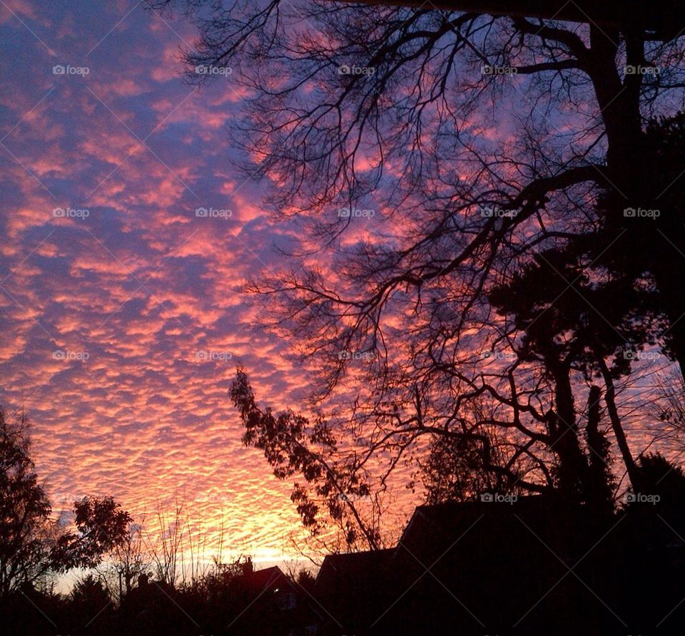 Winter sunrise in Surrey