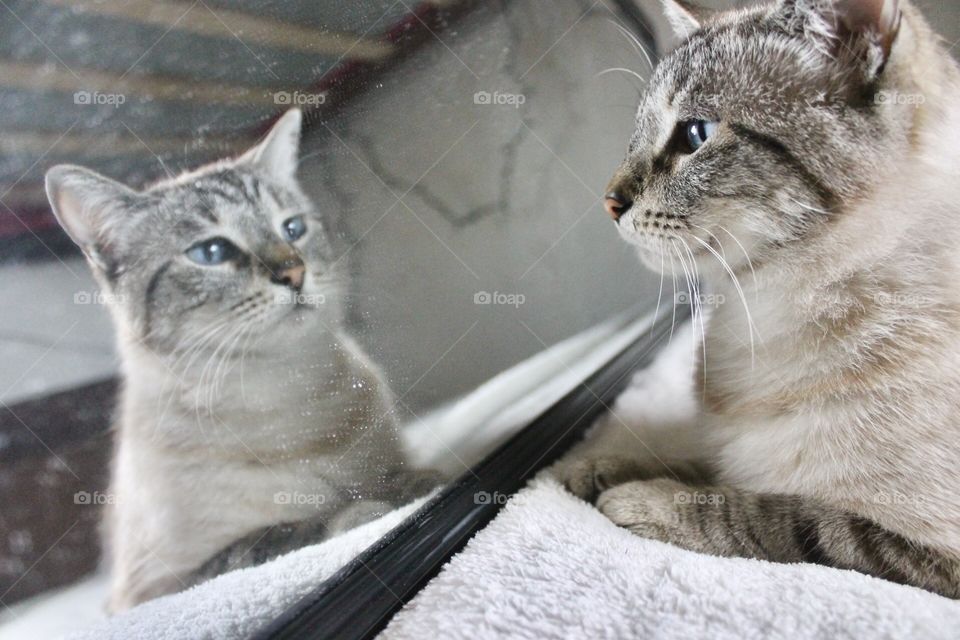 Peeta admiring himself in the mirror 