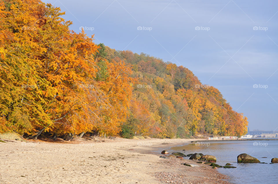 Amazing autumn beach 