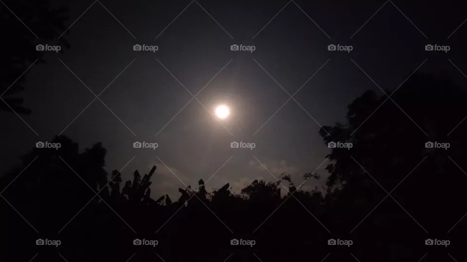Full Moon