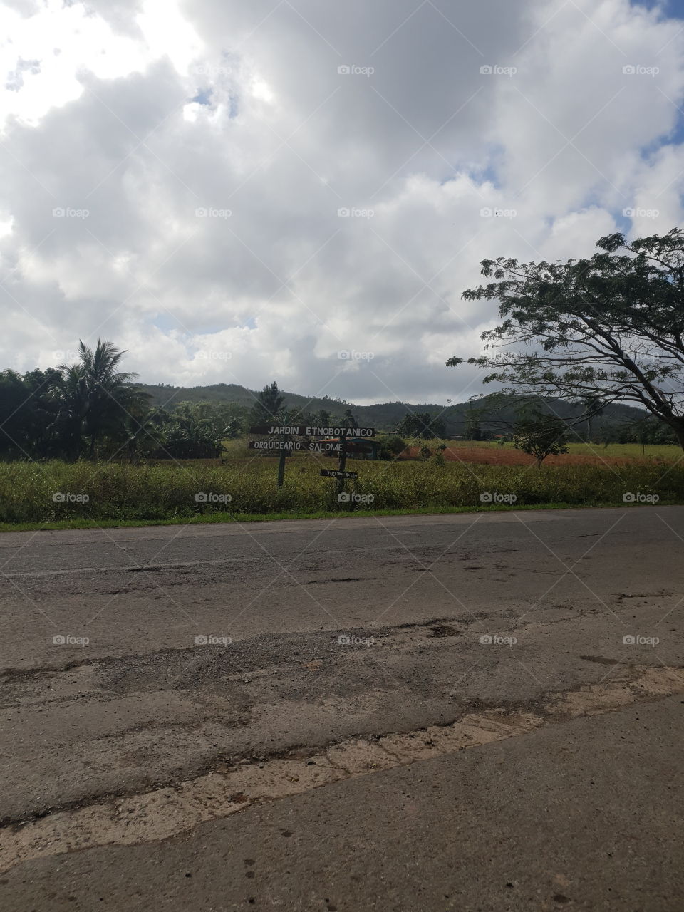 Viñales