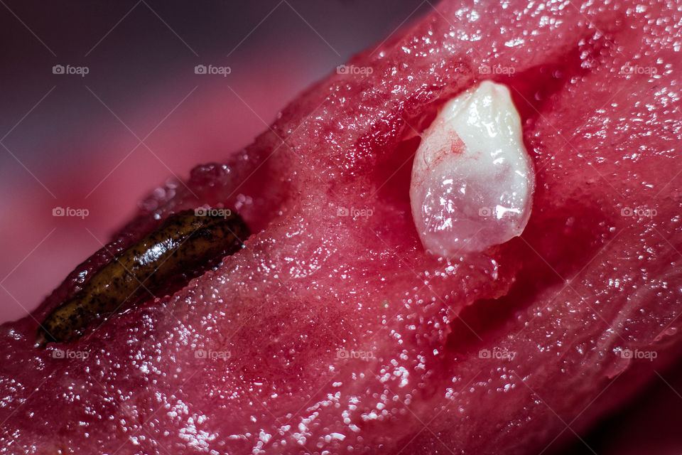 Macro shoot on watermelon