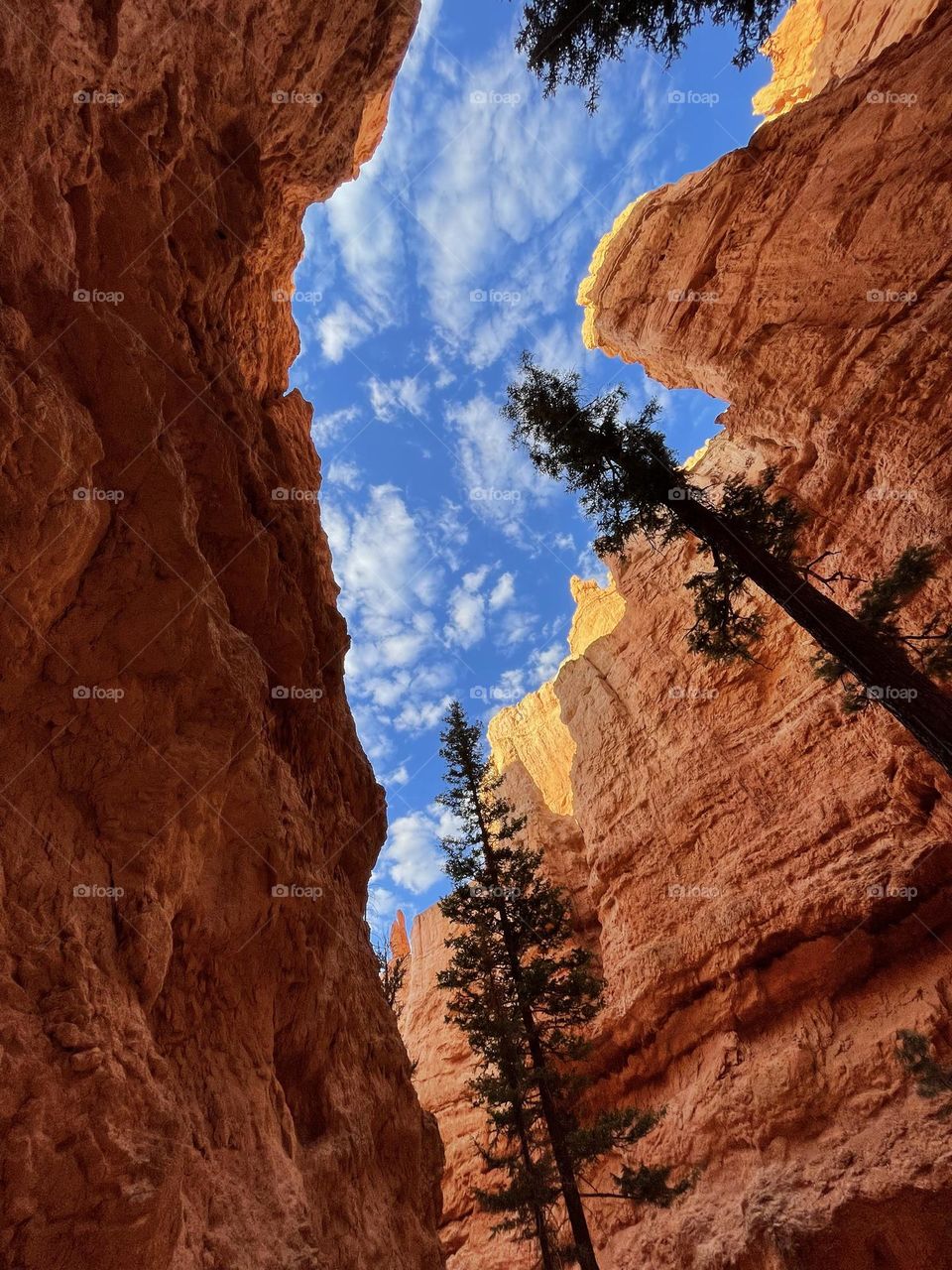 Hiking in Utah 