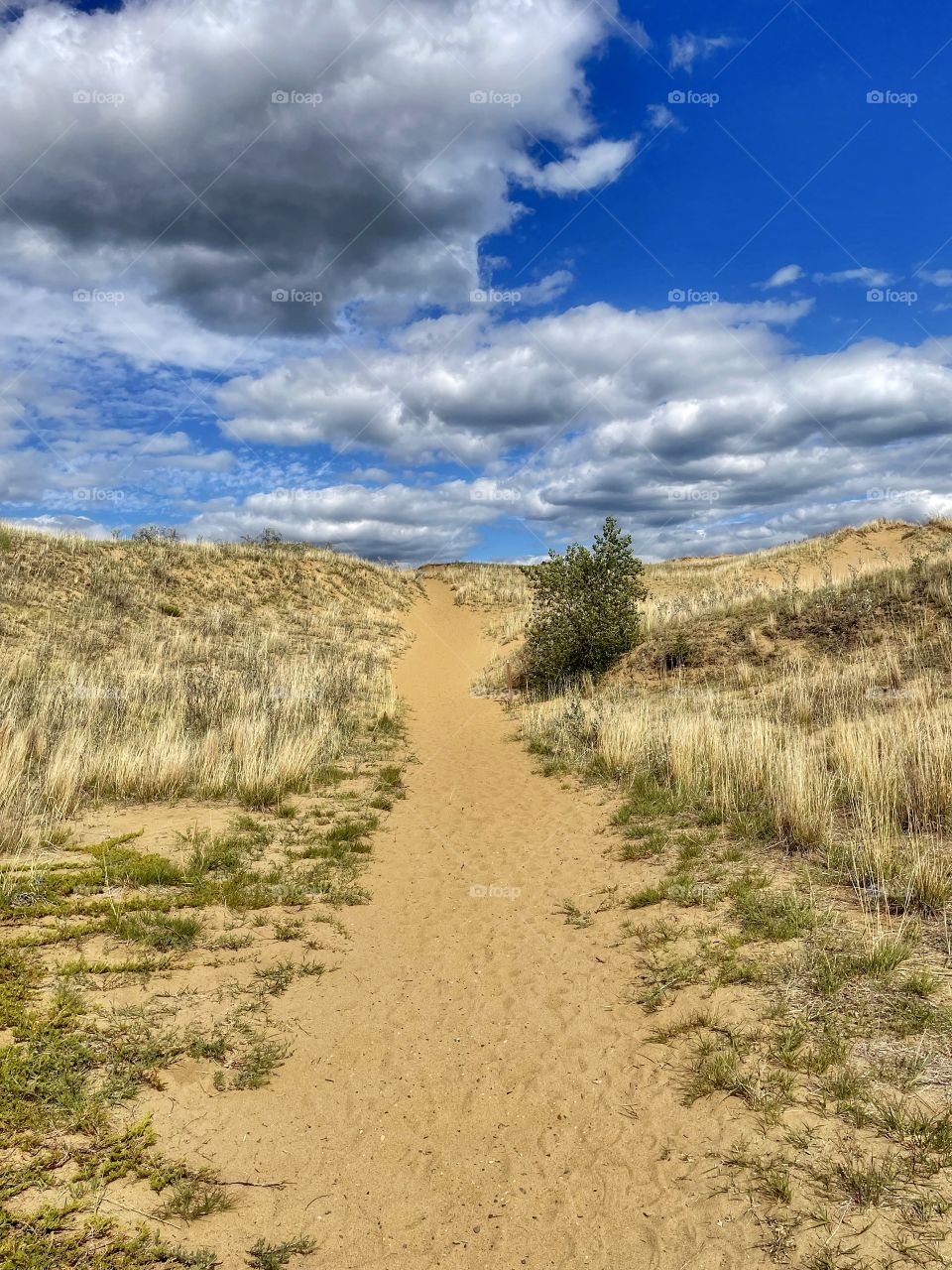 Desert trail 