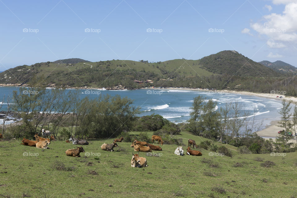 The Most Beautiful Beaches in Brazil - Ouvidor Beach in Santa Catarina Brazil.