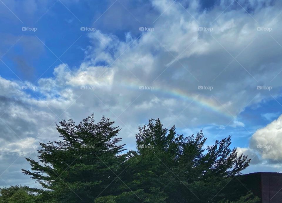 Rainbow after the rains