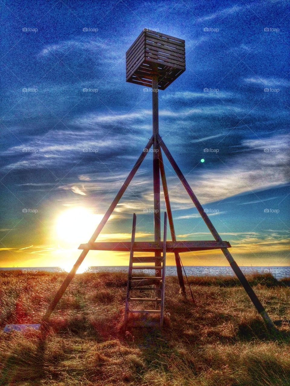 Bird watching tower