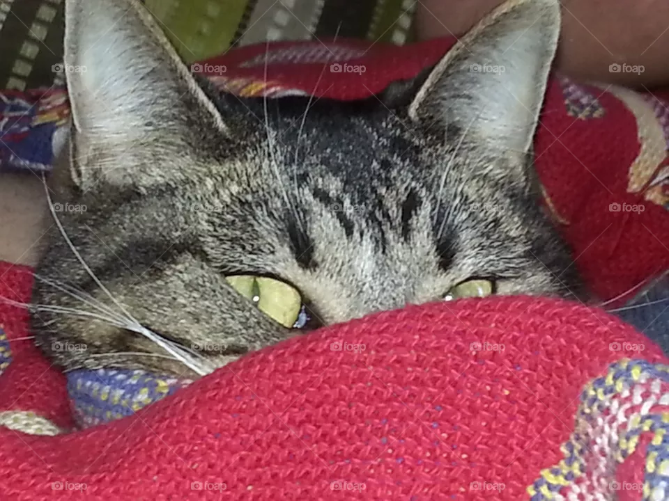 Evil eye