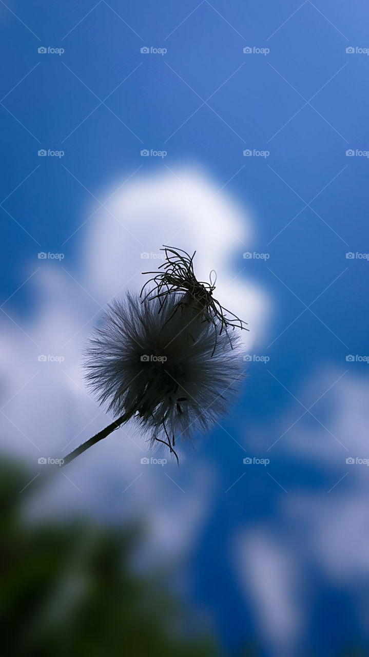 how much do you like this photo