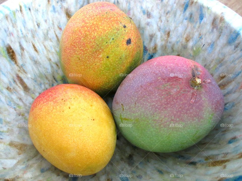 Trio of tropical mangoes in a bowl