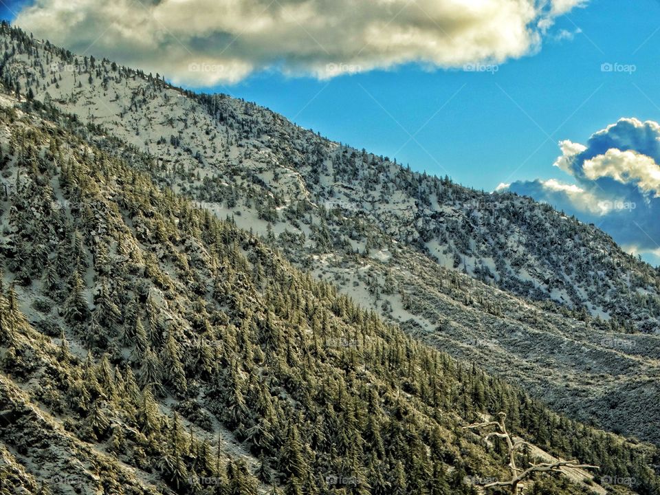 Winter Mountain Landscape