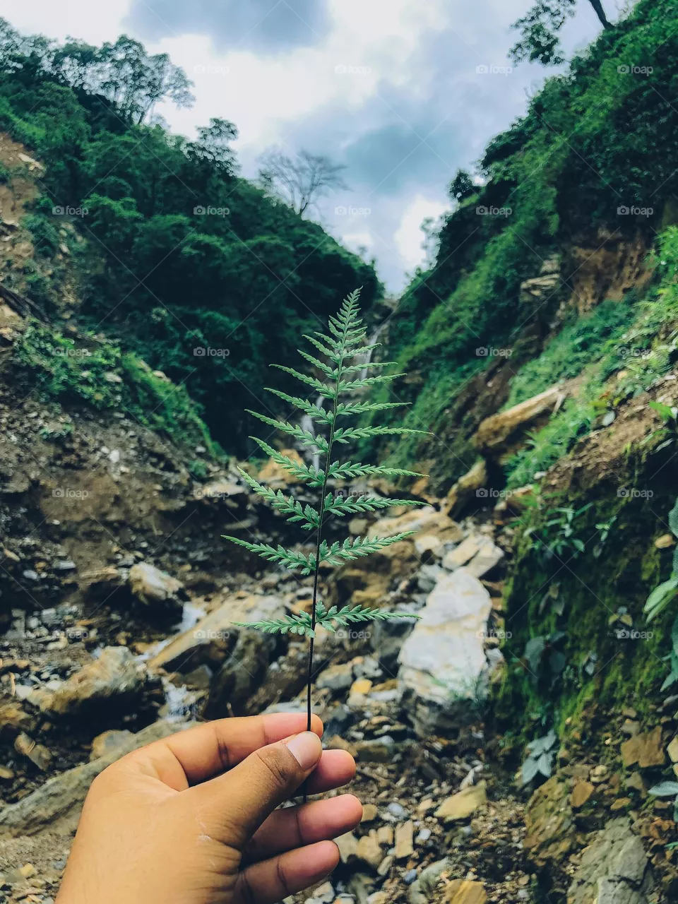 Nature beauty