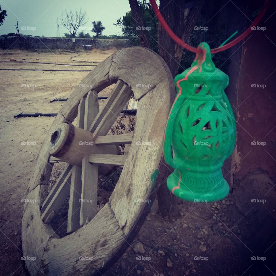 bishnoi village