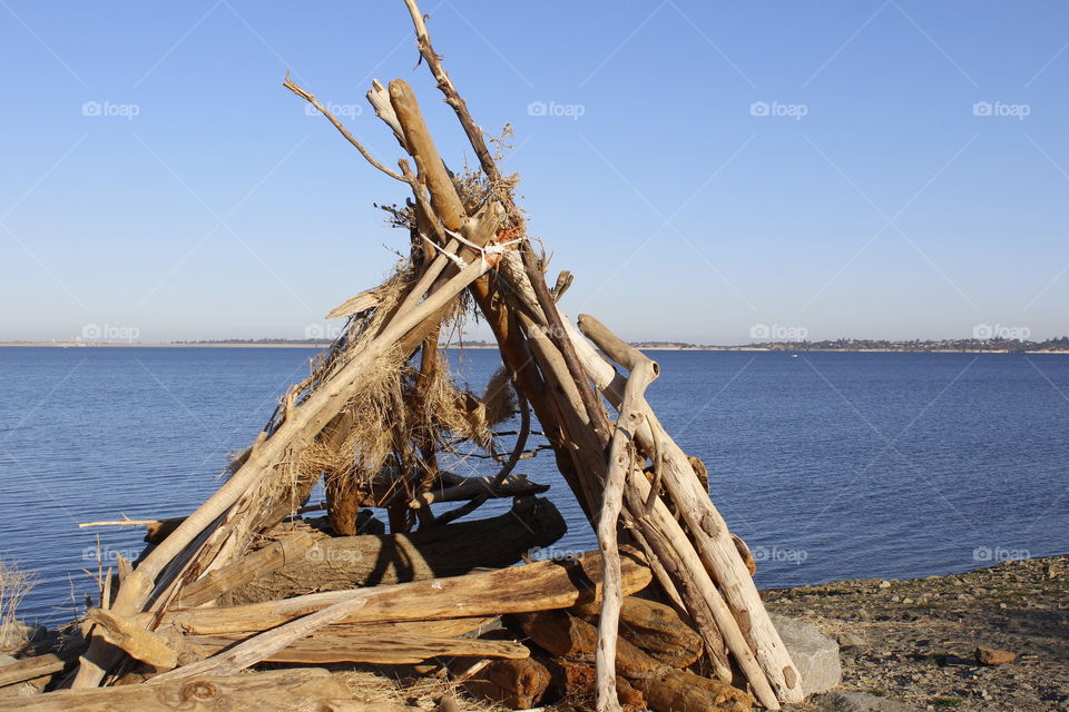 gathered driftwood from Folsom Lake