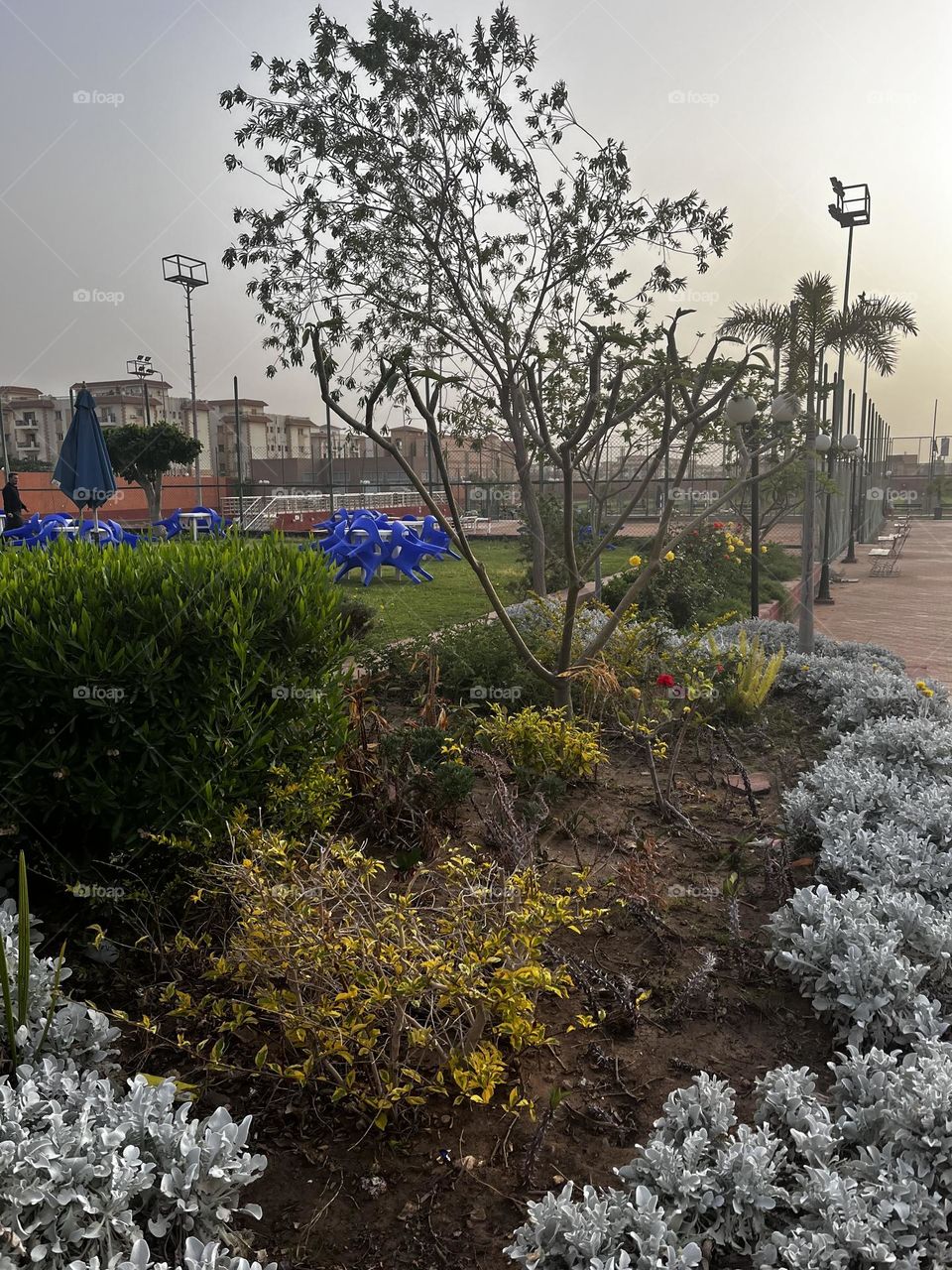 Plants on the sidewalk 