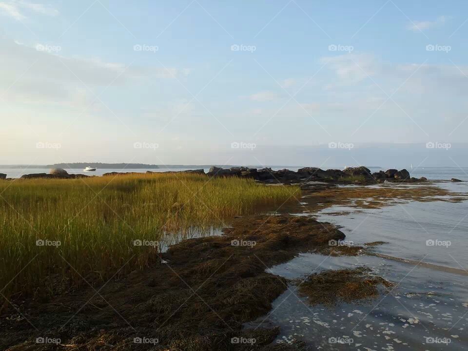 maine tidal scene