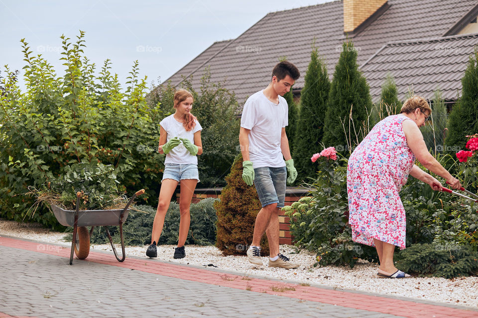 Grandchildren helping grandmother at a home garden. Candid people, real moments, authentic situations