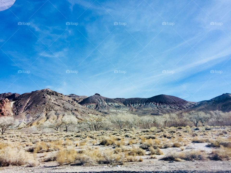 Painted Desert 