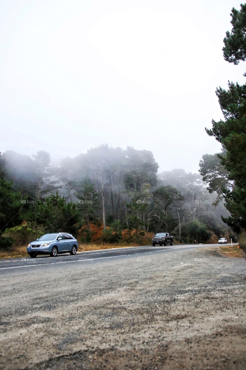Summer Fog road trip
