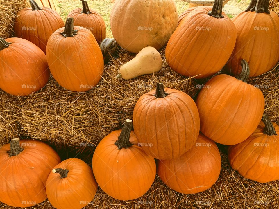 Pumpkins