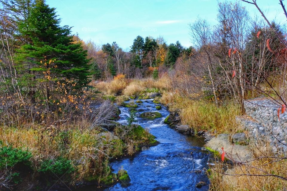 St. John's Newfoundland