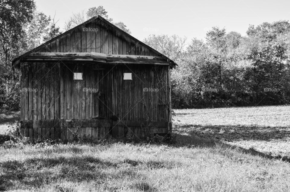 Black and white image of an old barn on a field