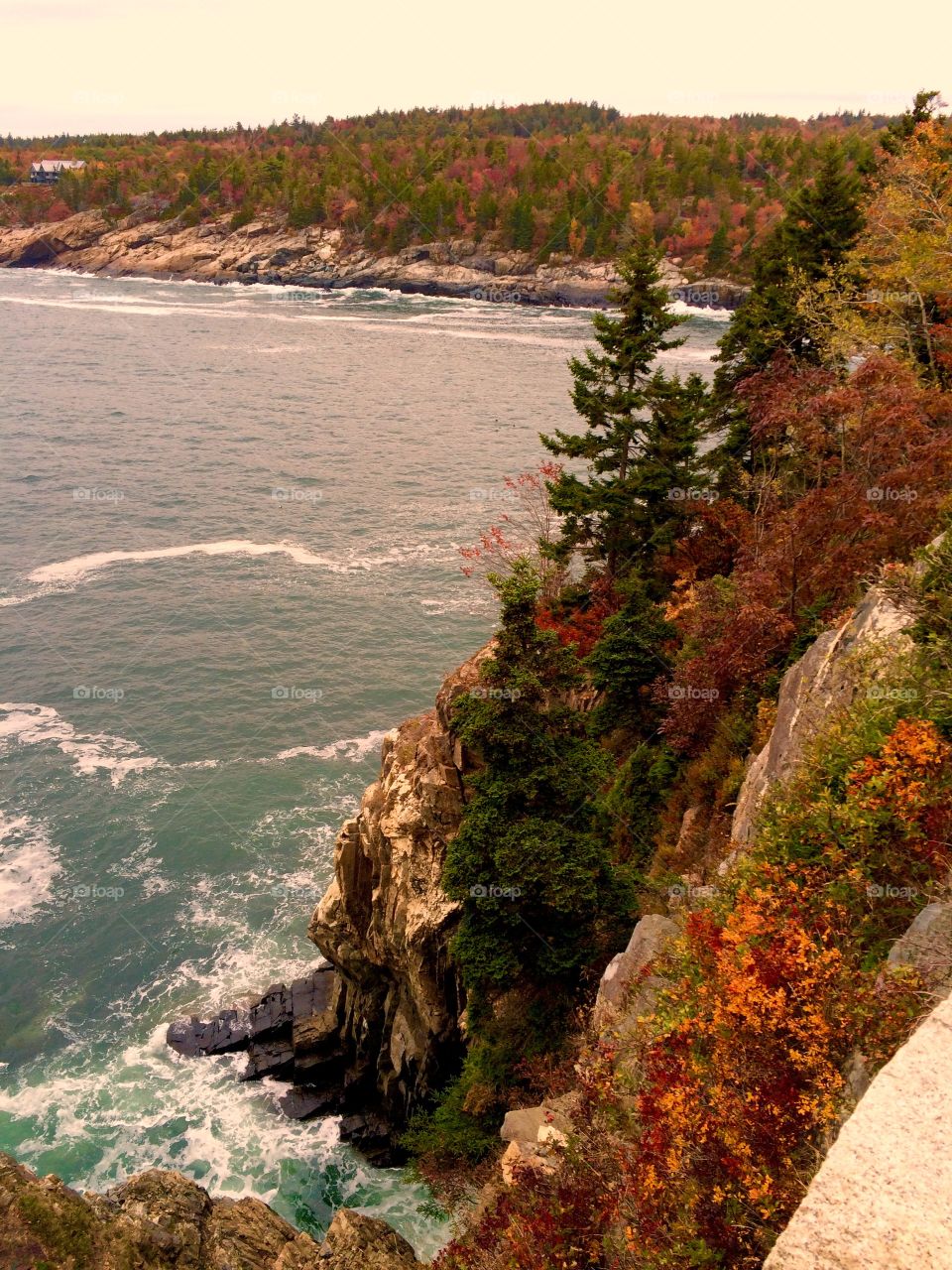 View of acadia National Park