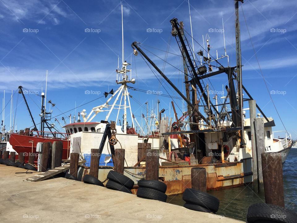 Fishing boats