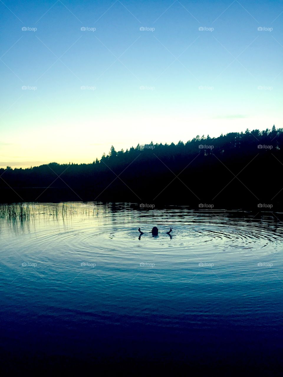 Last swim of the summer.