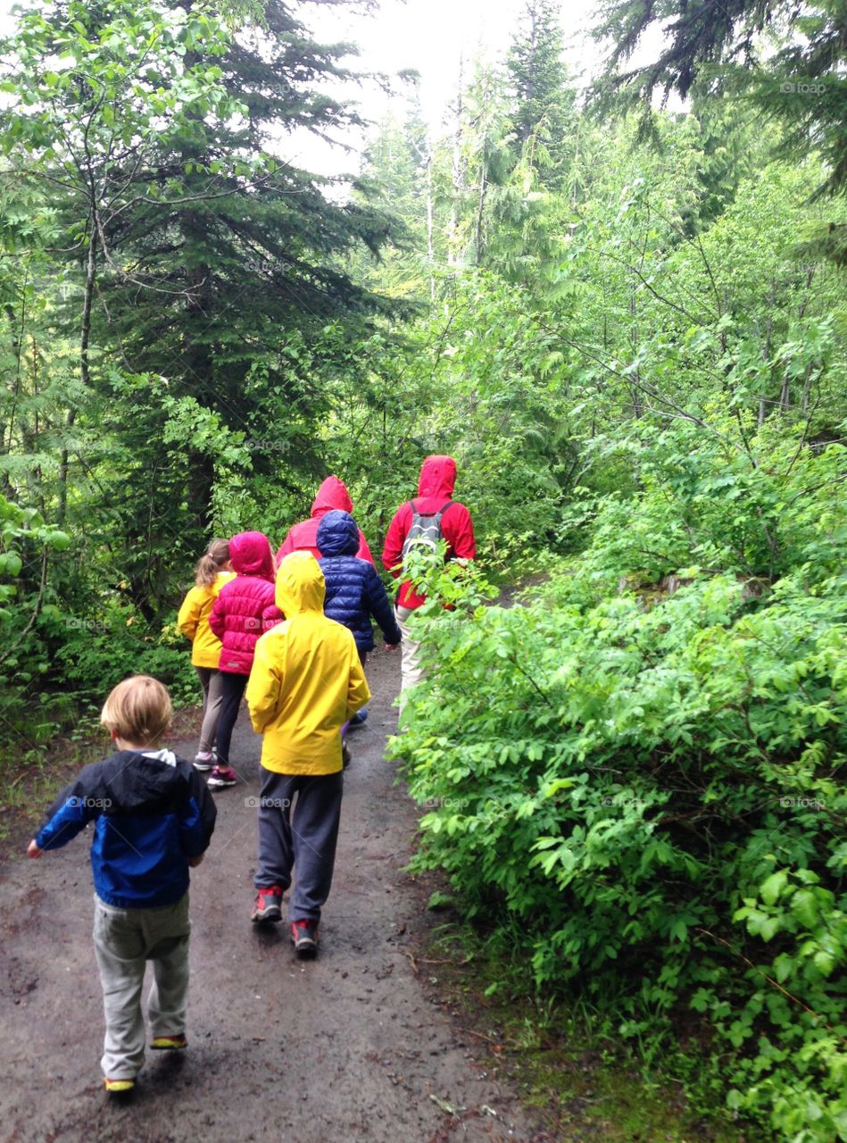 Hiking in the forest 