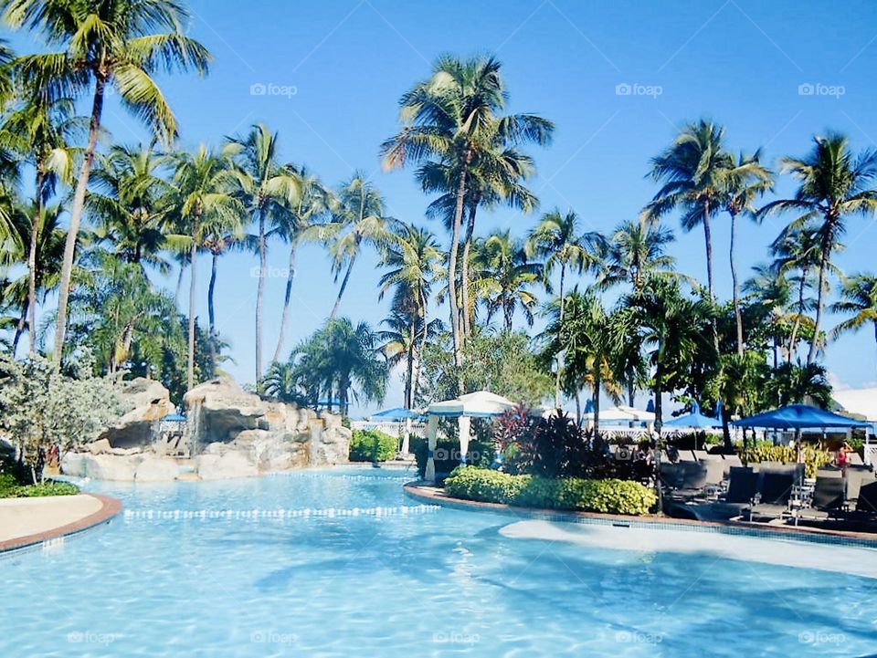 Destination summer getaway to a resort’s  pool side, serene and relaxing. 