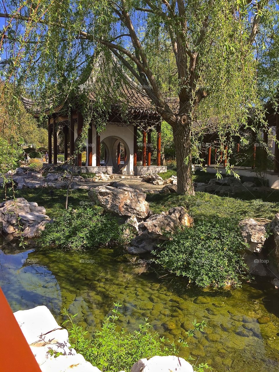 Pavilion, Chinese Garden