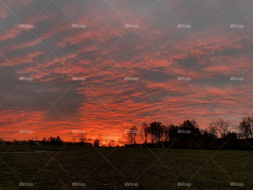 The morning sun rises in the east, no matter the weather. Today in the Midwest, the sky is full of clouds. It’s beautiful! 