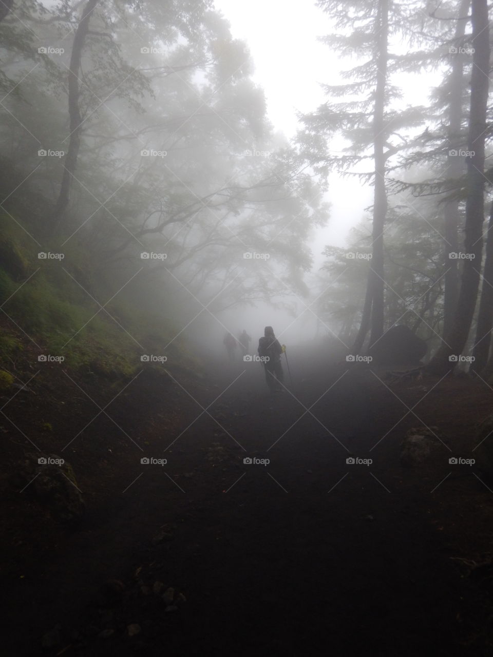 Man hiking down Mt. Fuji. Hiking Mt. Fuji in the fog. 