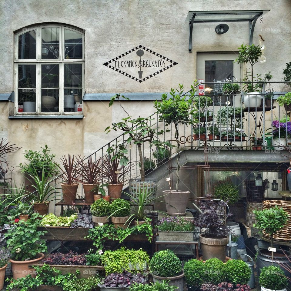 Flower shop in Gotenburg