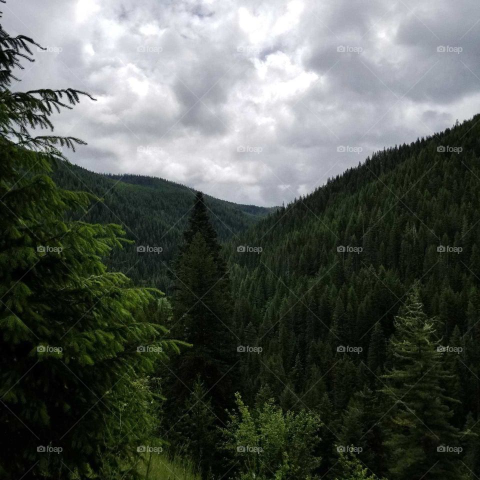 view of mountain ridge beautiful green trees under a cloudy sky