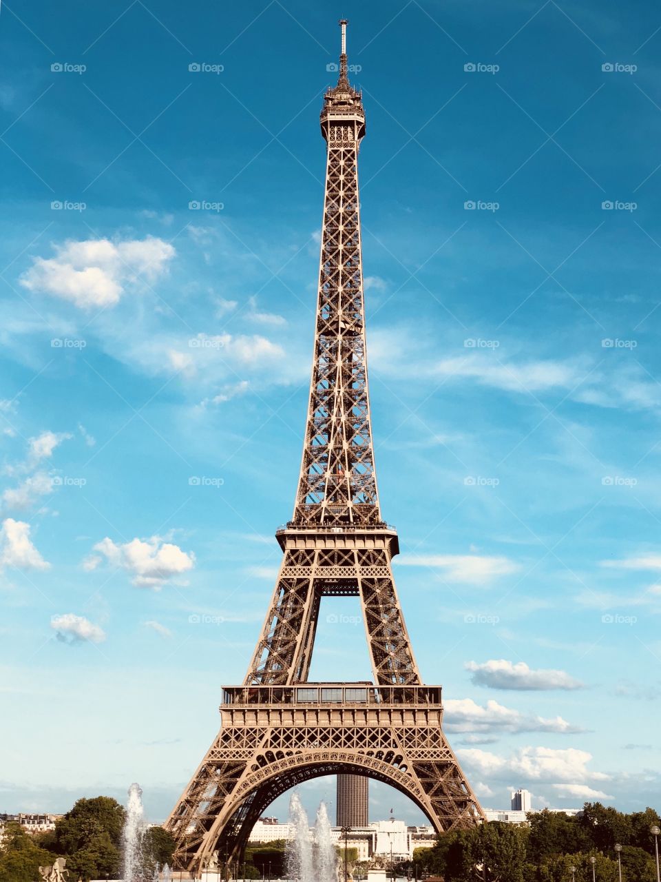 a beautiful scenery of the Eiffel Tower in June. Cloudy and nicely toned. 