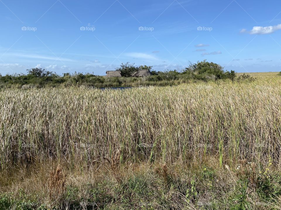 Everglades 6