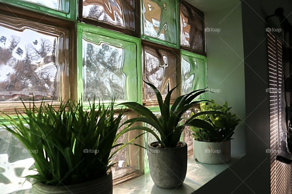 succulent plants in the window sill with green and brown glass block window