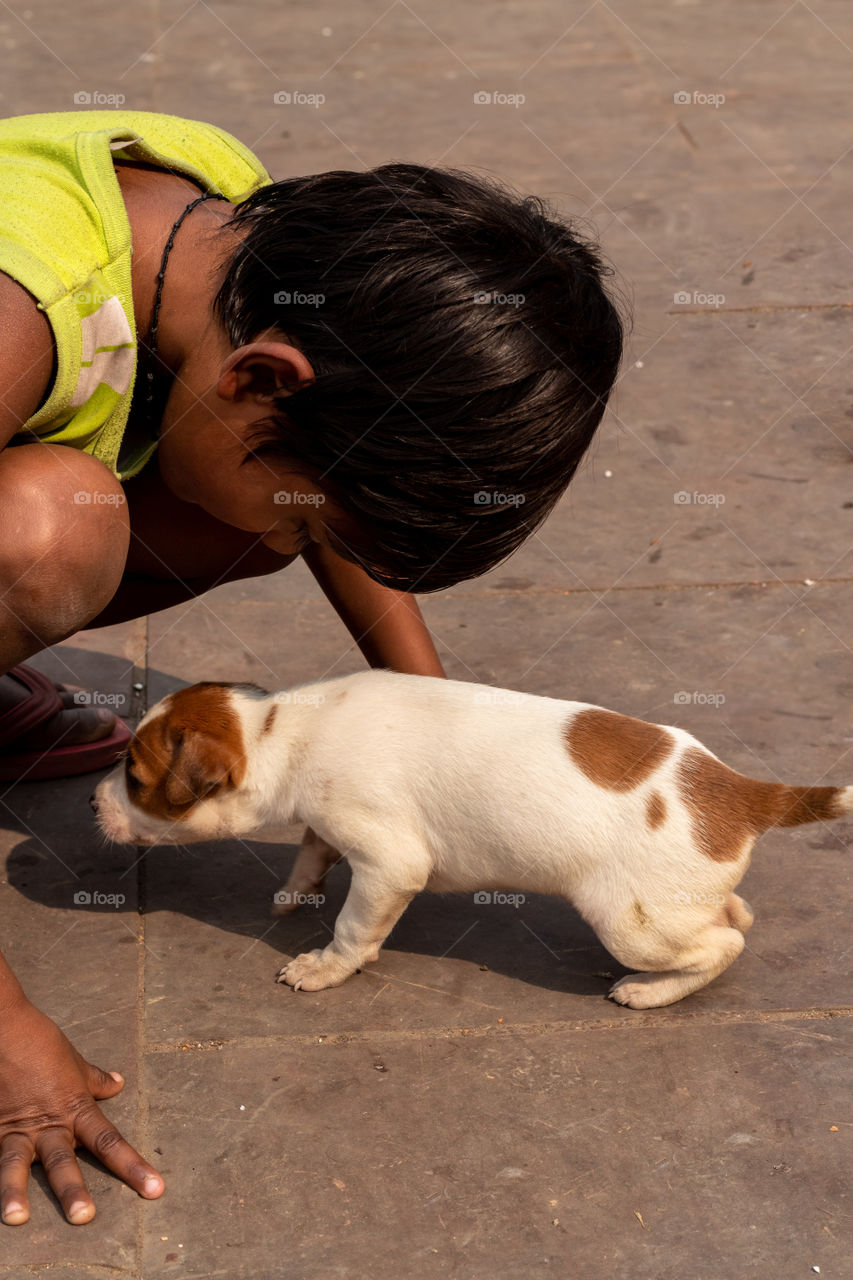 Cute puppy with a sweet little girl is making the moment so adorable.