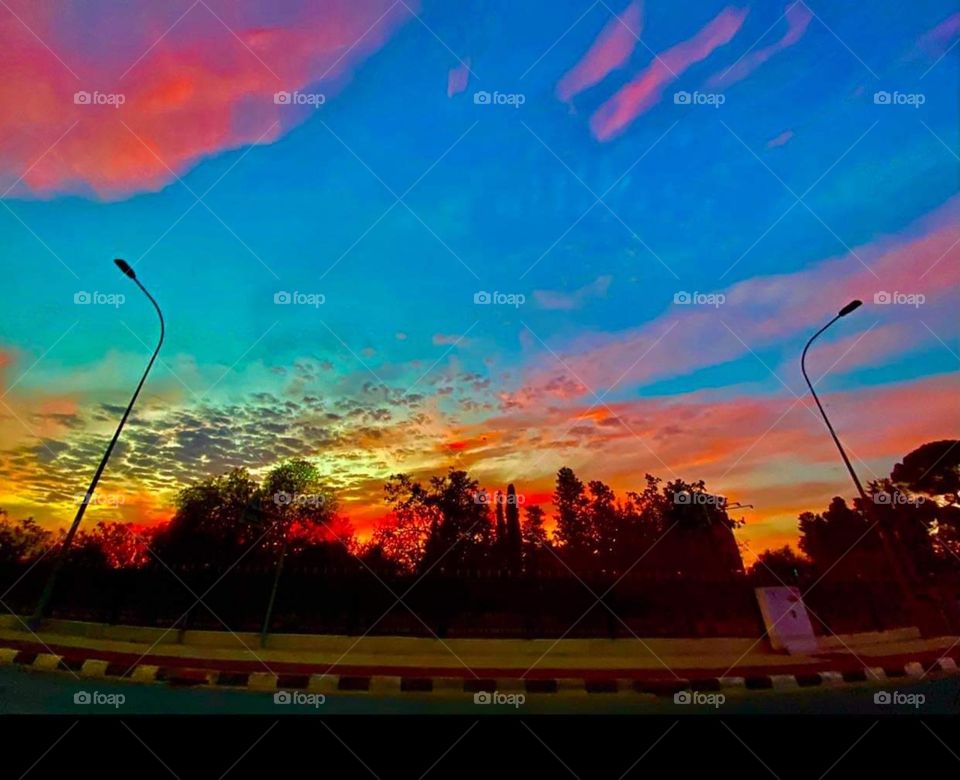 Trees around us - November 2020 on the road Cyprus