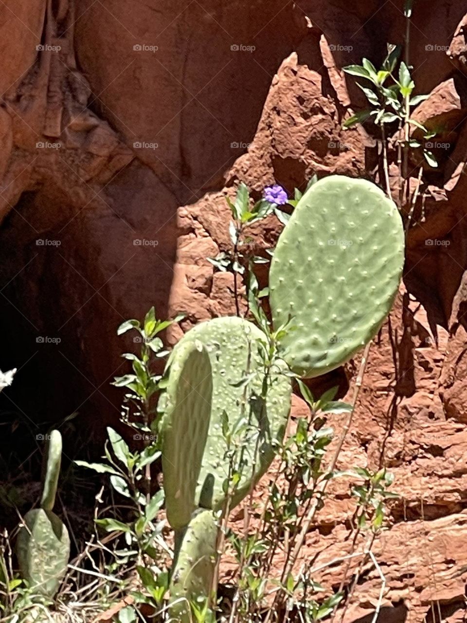 Combination of beauty desert and wondering what is inside !!!
