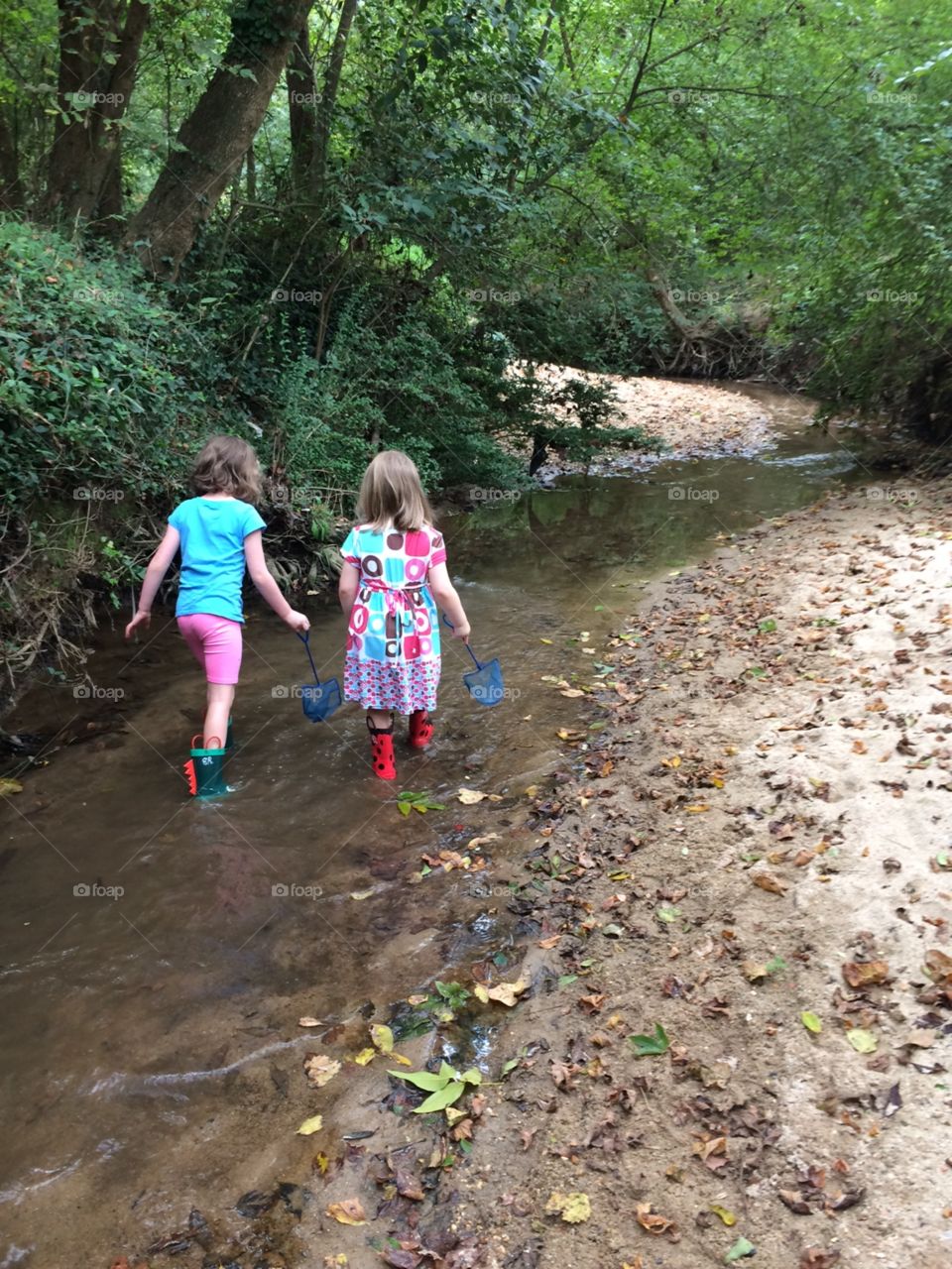 Exploring Walnut Creek Wetlands