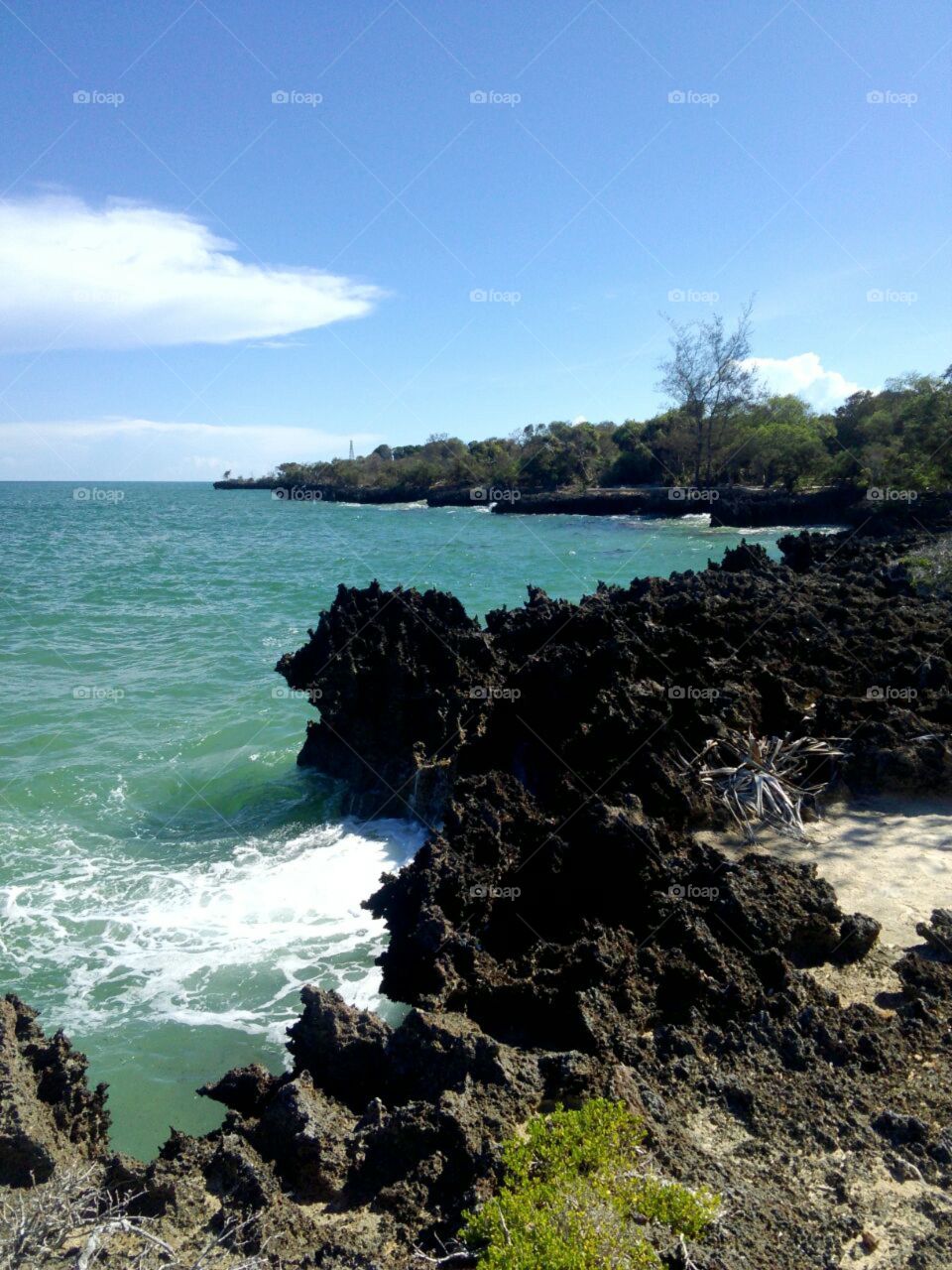 The famous cliff of mombasa