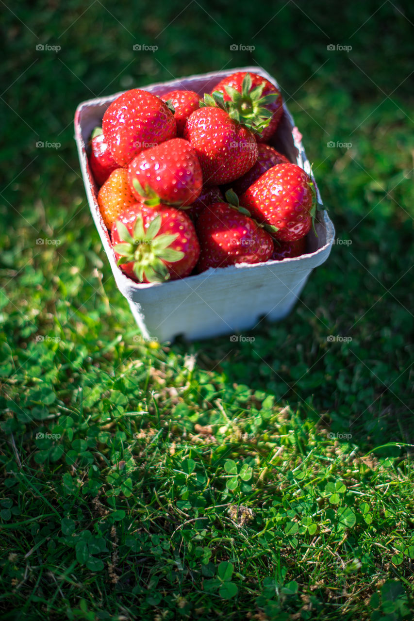 High angle view of strawberries