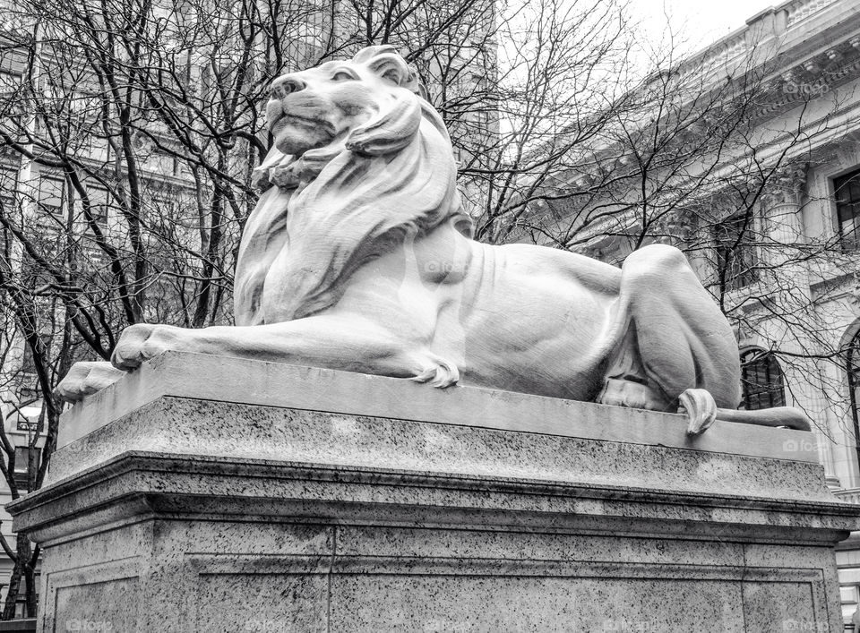 statue stone lion nyc by delvec